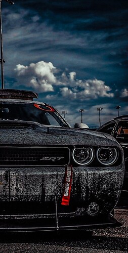 IMG_8822