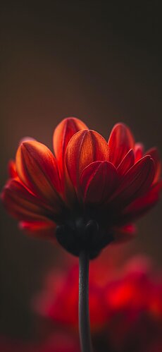 IMG_0110