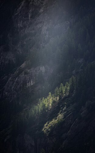 IMG_0122